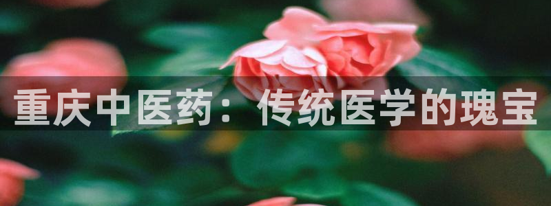 九游会网址最新