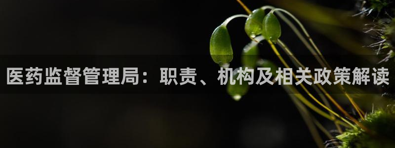 j9九游会官方网站国际怎么样