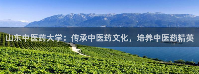 九游会ag网址大全专业版