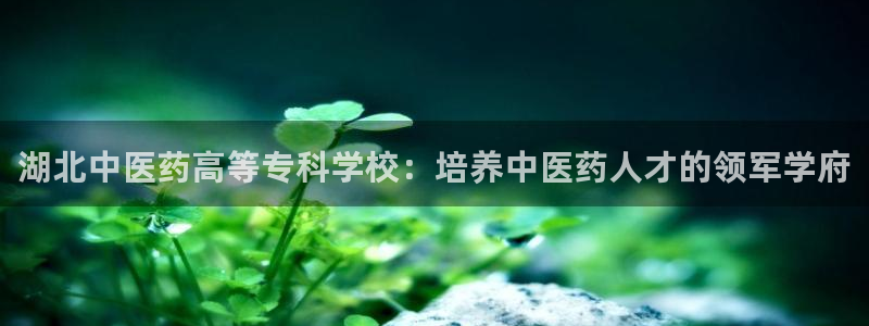 九游会j9官方网站