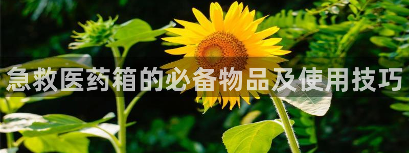 九游会集团国际