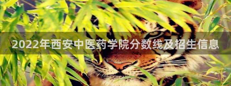 九游会官方网