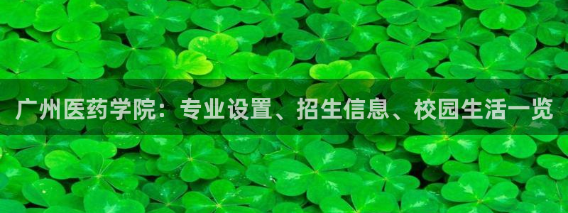 九游会登陆地址