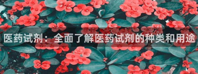 j9j4.cn