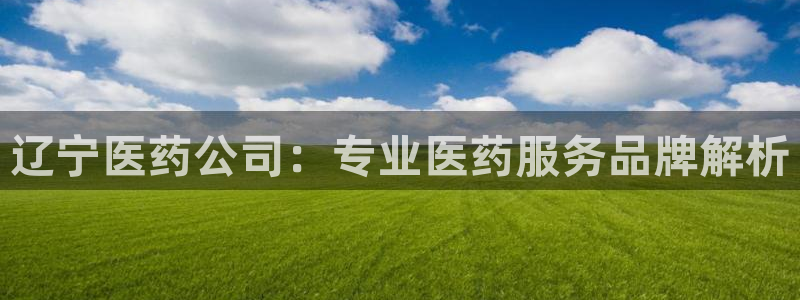 九游会集团货币