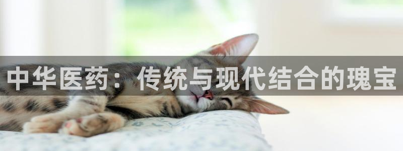 ag老玩家