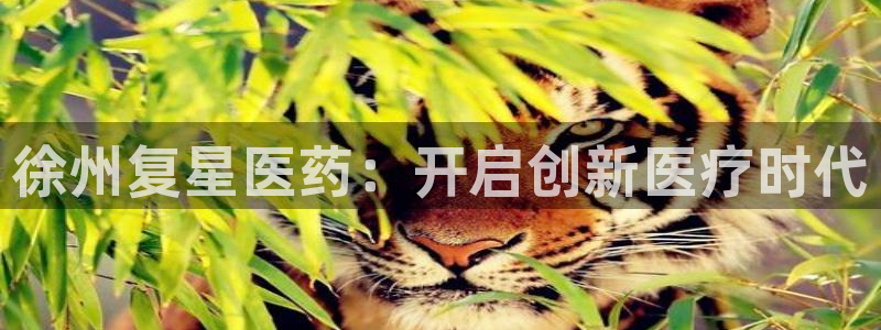 J9九游会登陆旧版