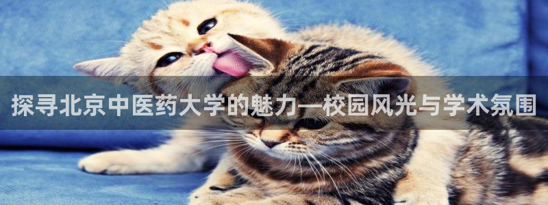 九游会j9官方网站