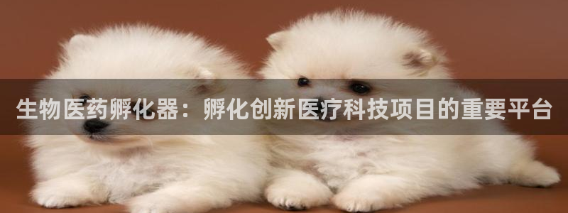 ag老队