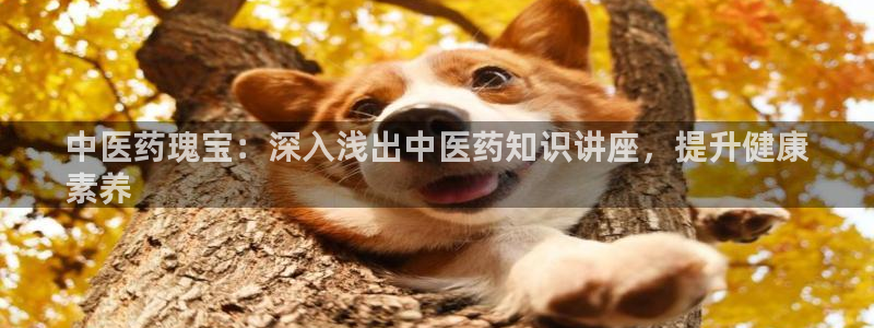 九游j9会 - 真人游戏第一品牌