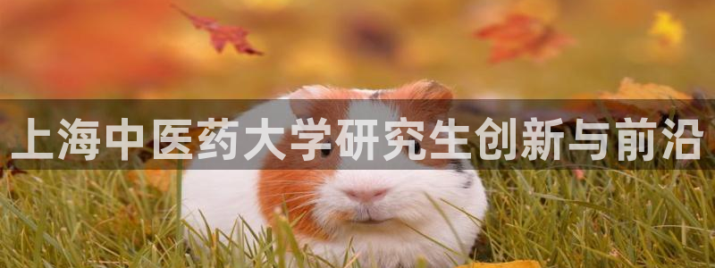 j9九游会老哥俱乐部交流区