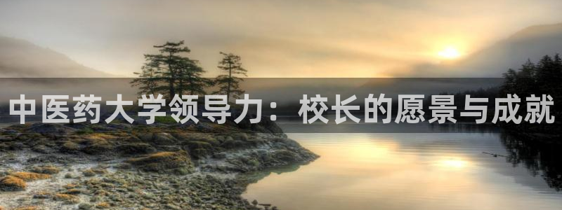 j9九游会app官网下载