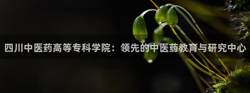 j9p下载