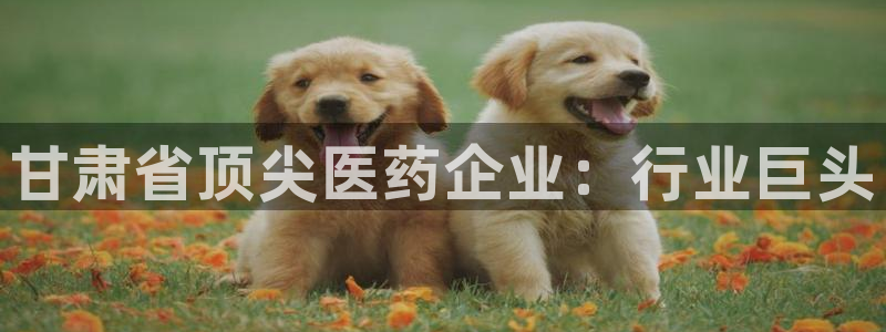 九游j9官网