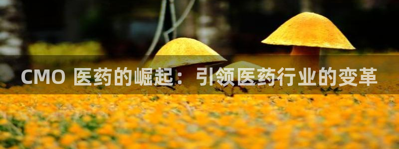 九游会老哥必备的交流社区