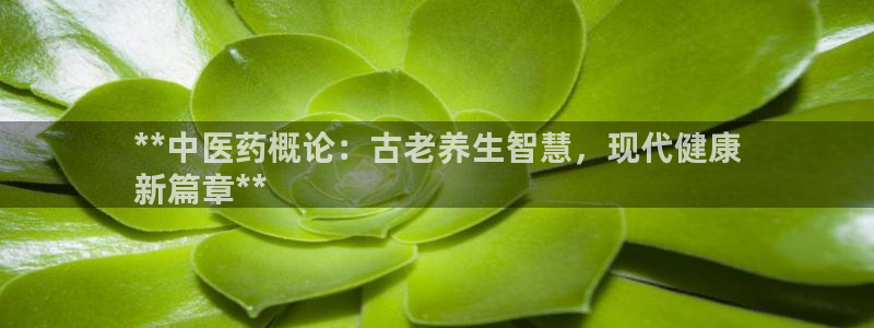 J9九游会试玩入口