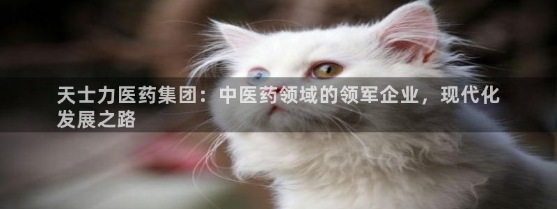 九游会国际站