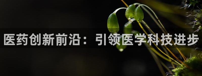 九游会老哥