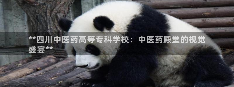 九游会官网登入首页