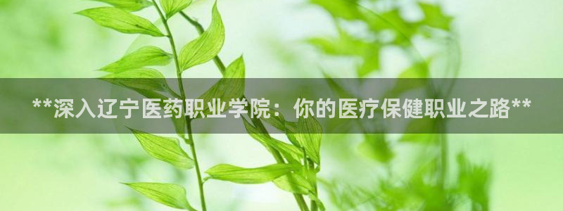 usdt九游会老哥俱乐部