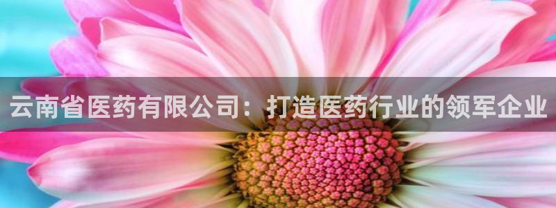 九游会官网地址