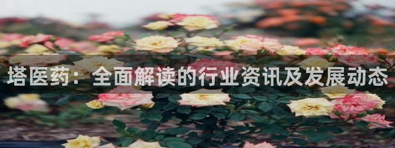 九游会黑钱吗