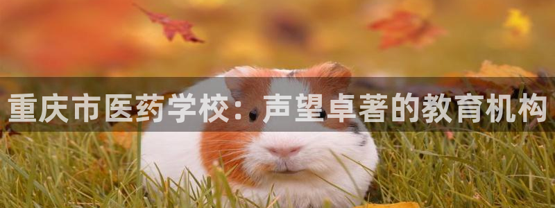 九游会在线登录