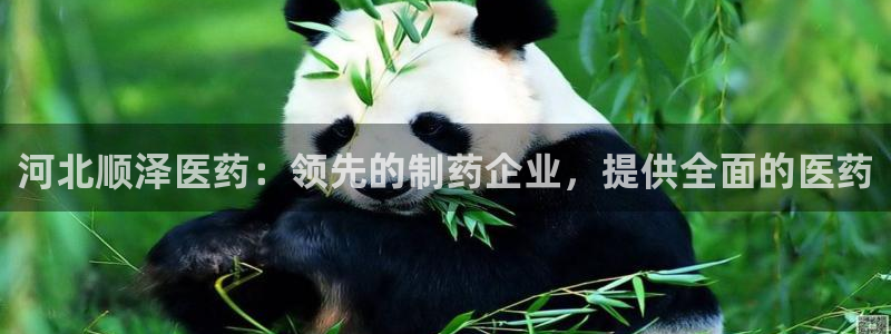 九游会大家觉得怎么样