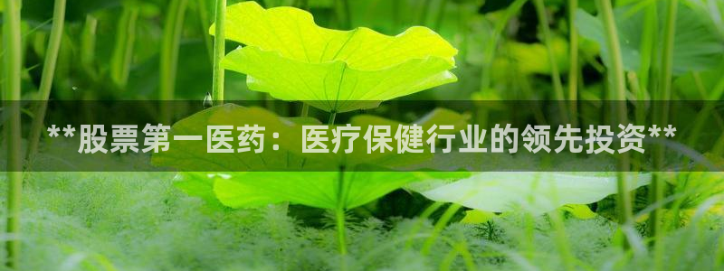 九游会ag官方网站