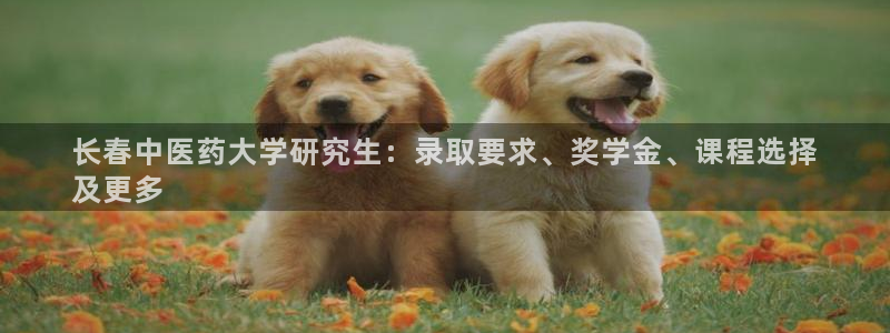 j9九游会最新版