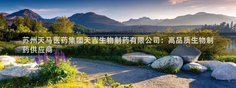 九游会是一个什么网站