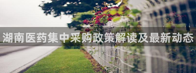 九游会是真的吗