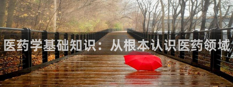 j9九游会首页入口