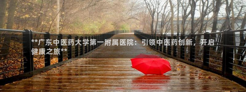 九游会网址大全