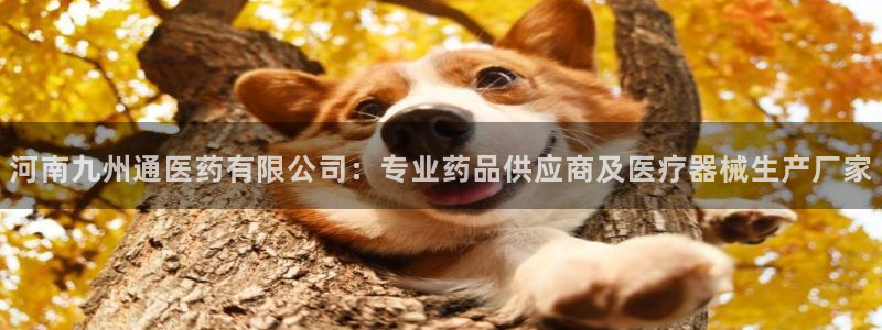九游会 app