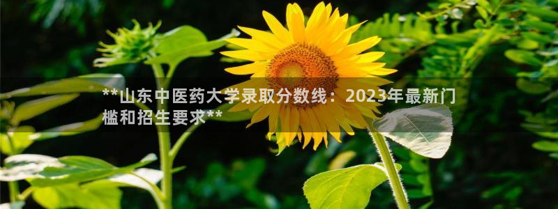 九游会国际站