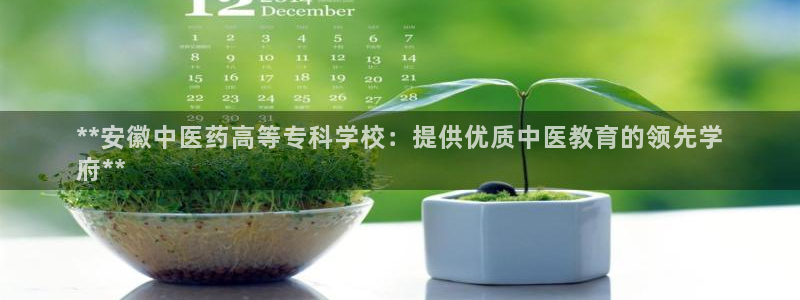 j9游会真人游戏第一品牌