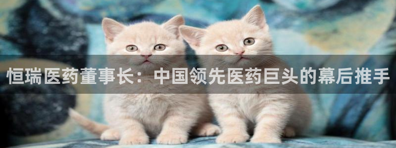 j9九游会官方网站国际
