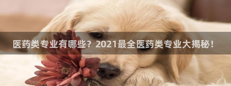 九游会在线官方网站登录吗