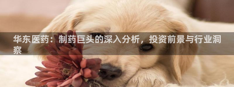 九游j9登录