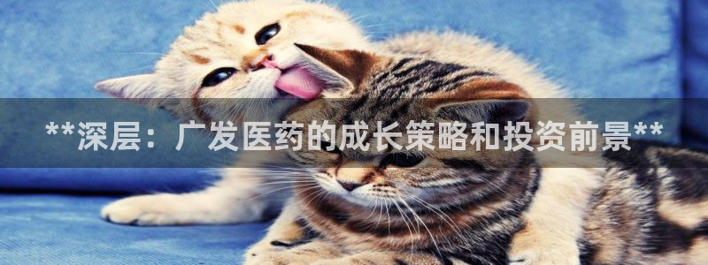 九游会视讯,九游会视讯厅