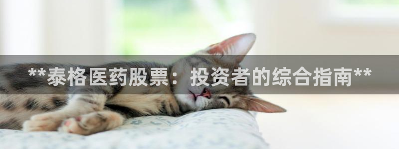 九游j9国际