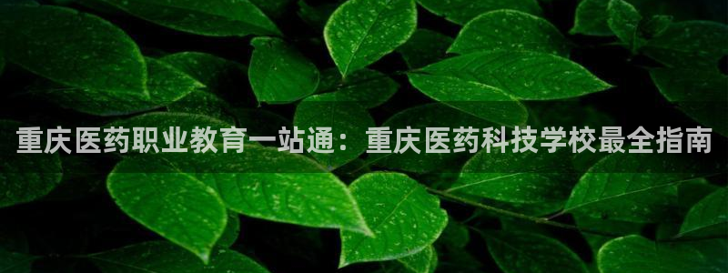 j9九游会ag私享