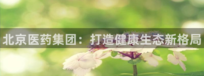 九游会app下载版官网正版