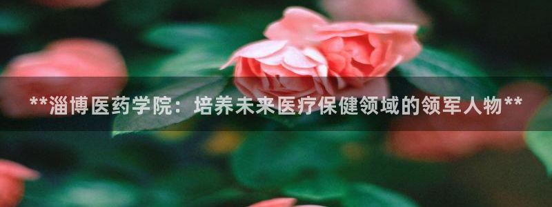 九游会平台稳定吗