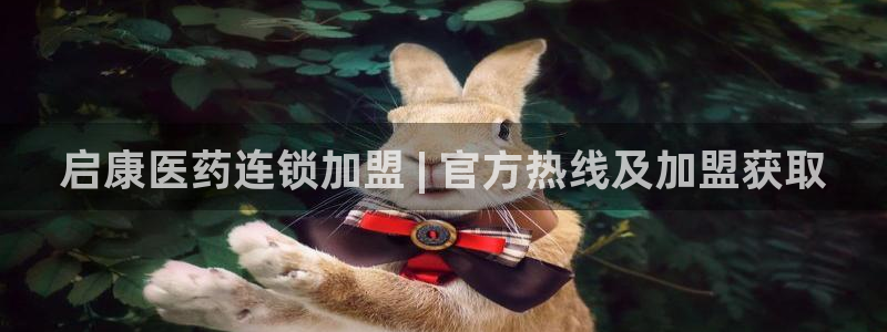 J9九游会是干嘛的： 