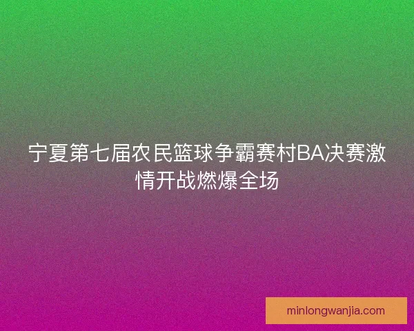 宁夏第七届农民篮球争霸赛村BA决赛激情开战燃爆全场